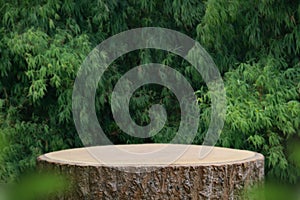 Wood tabletop podium floor in outdoors blur green leaf tropical forest nature landscape background.cosmetic natural product mock