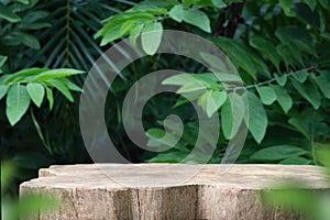 Wood tabletop podium floor in outdoors blur green leaf tropical forest nature landscape background.cosmetic natural product mock