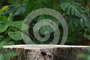 Wood tabletop podium floor in outdoors blur green monstera leaf tropical forest nature landscape background.cosmetic natural