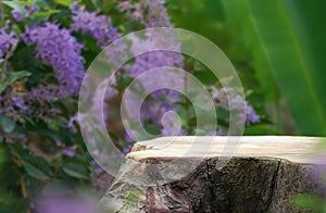 Wood tabletop podium floor in outdoors with blurred purple wreath flower forest plant nature background.Natural product perfume