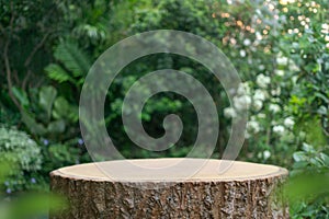 Wood tabletop podium floor in outdoors tropical garden forest blurred green leaf plant nature background.Natural product placement