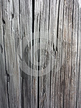 Wood telephone pole