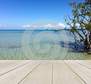Wood Terrace on The Beach with Clear Sky and Blue Sea with Copy Space to input Text