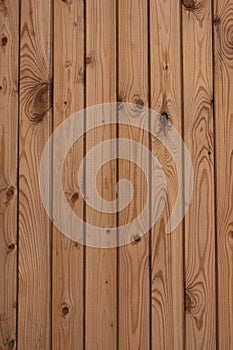 Wood texture 05