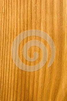 Wood texture 2