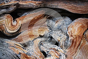 Wood texture