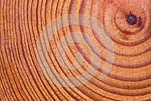 Wood texture