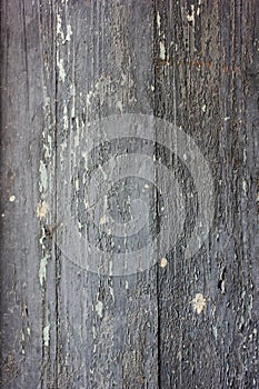 Wood-texture