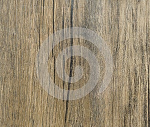 Wood texture