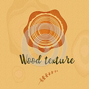 Wood texture for abstract background design. Eco material cover