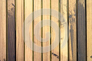 Wood texture background