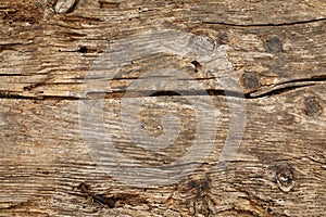 Wood texture background.