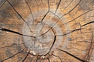 Wood texture background