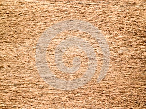 Wood texture background