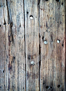 Wood texture background