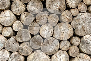 Wood texture background