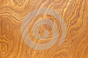 Wood texture background