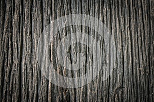 Wood texture background