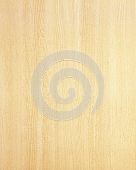 Textura de madera16 