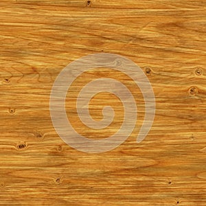 Wood texture background. Close-up.