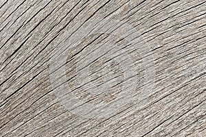 Wood Texture Background, Closeup
