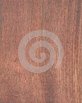 Textura de madera15 