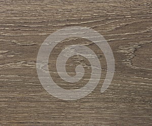 Wood texture background,material