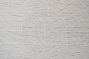 Wood texture background. Material, decorative. photo