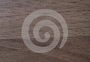 Wood texture background. Material, decorative. photo