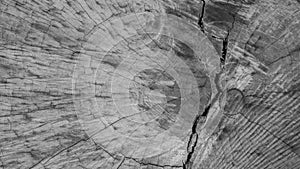 Wood texture background. monochromed