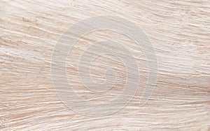 Wood texture background , natural line horizontal patterns