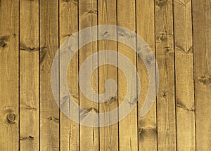 Wood Texture Background. Old boards. Organic, woodwork.