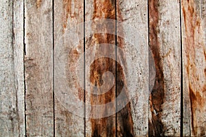 Wood texture. background old panels