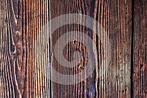 Wood texture. Background old panels. Abstract texture of tree stump, crack wood ancient.