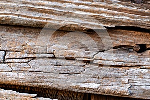 Wood Texture Background with a Rusty Nail