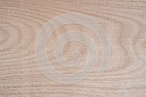Wood texture background surface natural