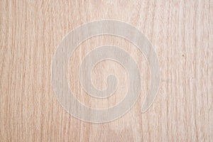 wood texture background surface