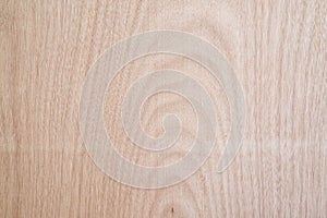 wood texture background surface