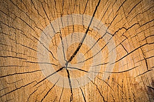 Wood texture background surface.