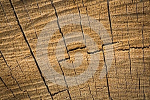 Wood texture background surface.