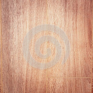 Wood texture background surface old natural pattern