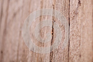 Wood Texture Background,with vintage toned style. Background, backdrop