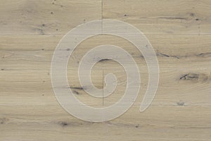 Wood texture background, wood floor texture