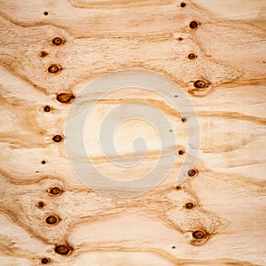 Wood texture background. wooden boar with knots.