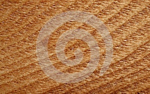 Wood Texture Background, Wooden Board Grains, Old Floor Striped Planks.