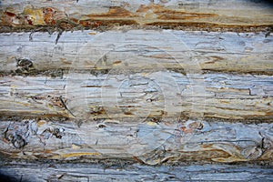 Wood Texture Background, Wooden Board Grains, Old Floor Striped Planks