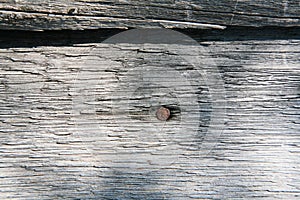 Wood Texture Background, Wooden Board Grains, Old Floor Striped Planks photo