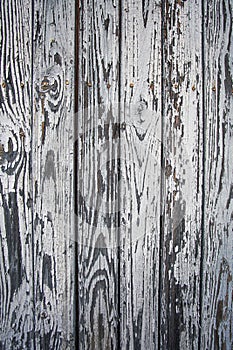 Wood Texture Background, Wooden Board Grains, Old Floor Striped Planks.