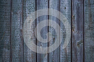 Wood Texture Background, Wooden Board Grains, Old Floor Striped Planks.