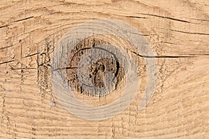 Wood texture. Background of wooden board with knag, close up. photo